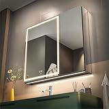 GANPE LED Beleuchtetes Badezimmer Medizin Spiegel Schrank mit Doppelter Tür, Defog, Stufenloses...